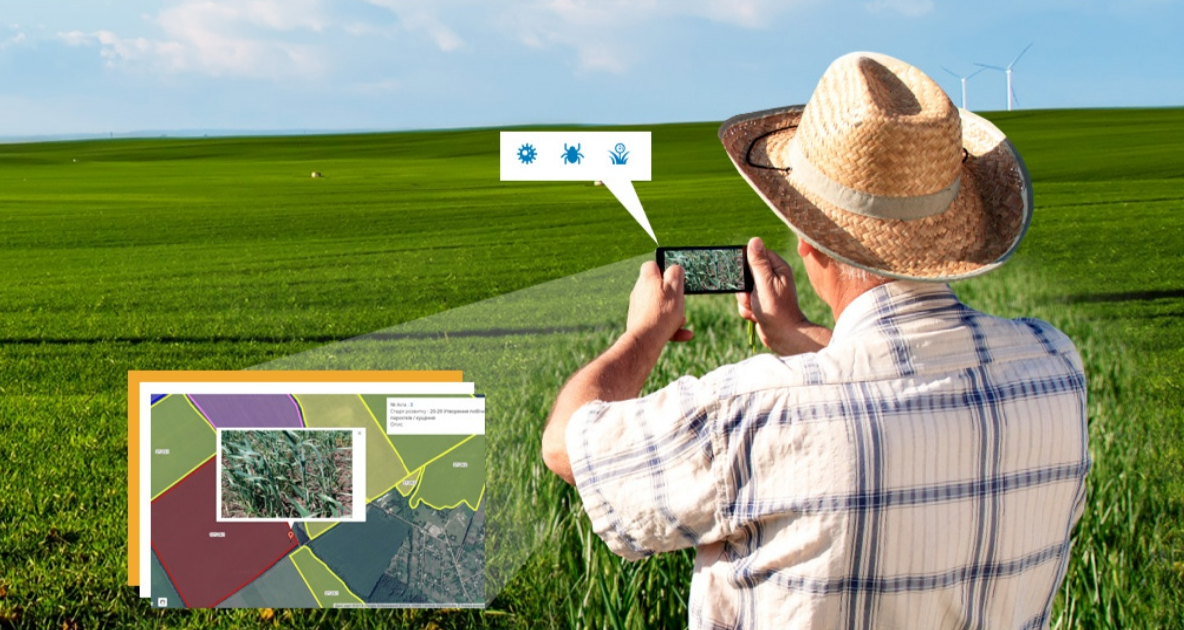 New field survey features using the “Agroscouting” mobile application