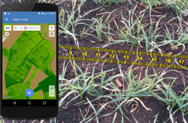 Agronomist’s tablet with the «Agroscouting» mobile app