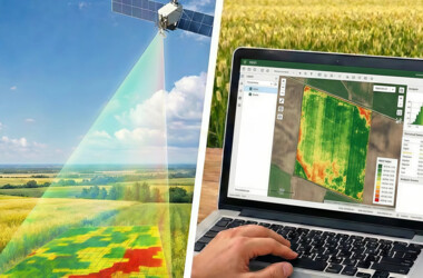 Seeing the invisible: How NDVI helps prevent crop loss