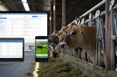 IT solutions for animal husbandry