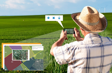 Новые возможности обследования поля с помощью мобильного приложения “Агроскаутинг”