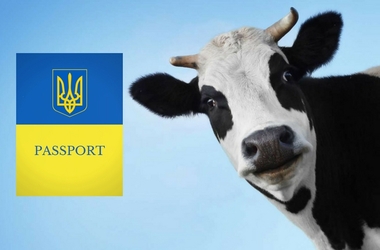 Паспорт тварини: електронний паспорт для худоби, для чого він потрібний?