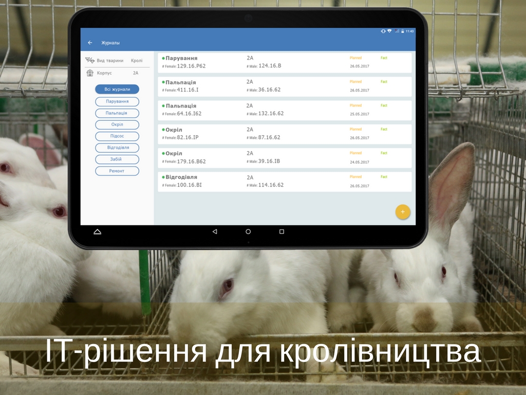 ІТ-рішення для автоматизації кролівництва